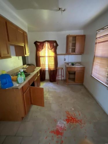 4517 Hamilton Ave, Saint Louis MO 63136-3610 exterior