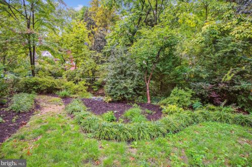 312 Alexandria Ave, Alexandria VA 22301-3036 exterior