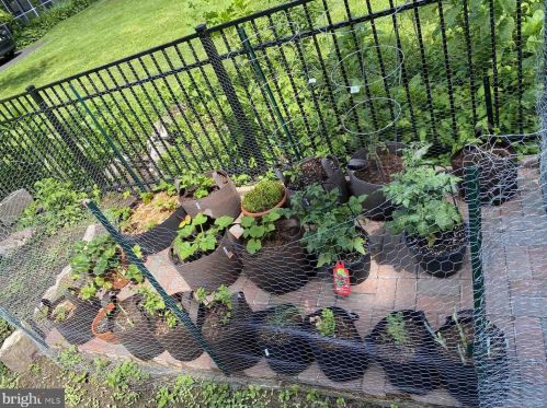 115 Atlantic Ave, Tavistock NJ 08033-3334 exterior