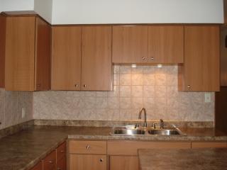 4820 Grace St, Chicago IL  60641-3503 exterior