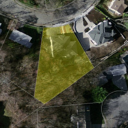 20 Cottonwood Rd, Newton MA 02459-3112 aerial view