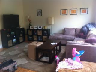 1349 Greenview Ave, Chicago IL  60642-2343 exterior