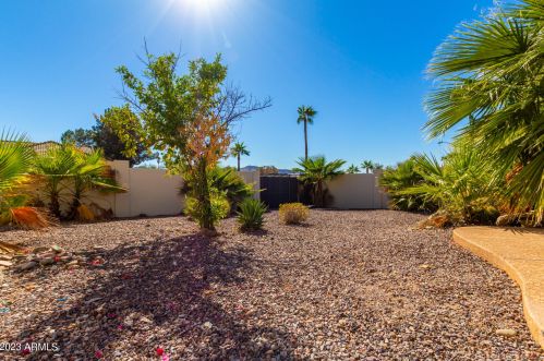 15202 10th St, Phoenix AZ  85022-3738 exterior