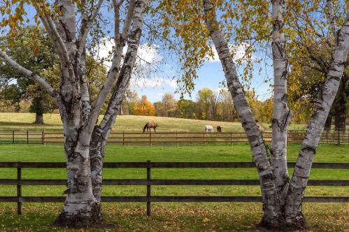 1488 Copeland Rd, Maple Plain MN 55359-9537 exterior