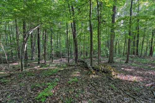 12500 Okemos Rd, Portland MI 48875-1800 exterior