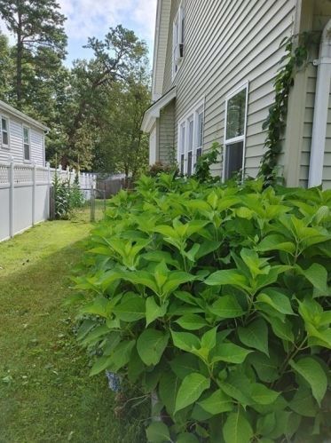 87 Lakevilla Ave, Springfield MA  01109-1405 exterior