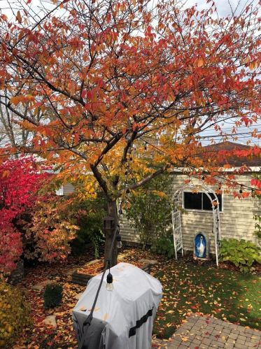 5250 Fletcher St, Chicago IL 60634-4006 exterior