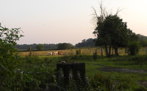 50002 M 51, Dowagiac MI 49047-9631 exterior