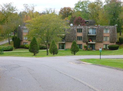 1215 Forest Green Dr, Moon Twp PA 15108-2771 exterior