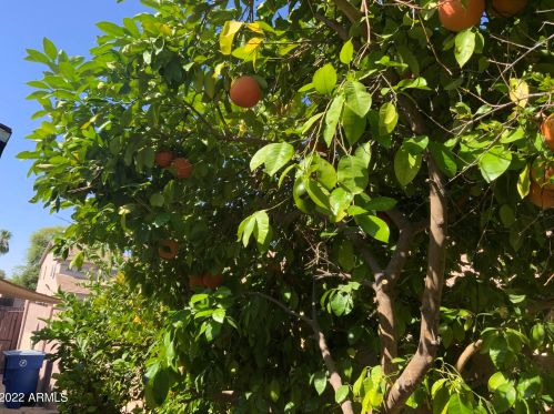 2892 Indian Wl Pl, Chandler AZ 85249-4915 exterior