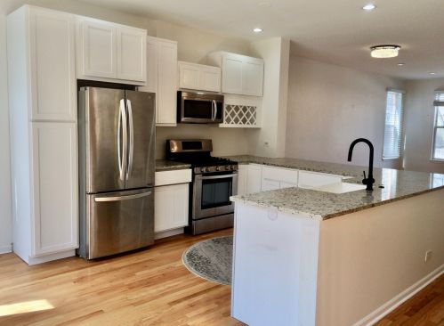 259 Goethe St, Chicago IL  60610-1809 exterior