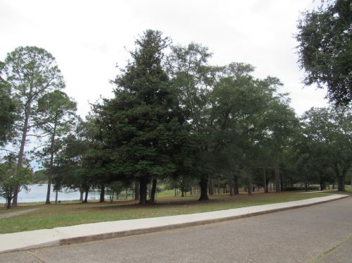 550 College Ave, Defuniak Springs FL 32435-2578 exterior