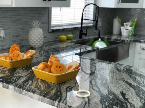 6430 Larmon St, Tampa FL  33634-5018 exterior