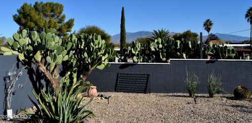 3231 Champlain Ave, Tucson AZ  85730-1942 exterior