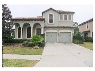 20302 Chestnut Grove Dr, Tampa FL  33647-3344 exterior