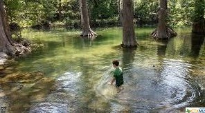 376 Fawn Dr, Spring Branch TX 78070-4704 exterior