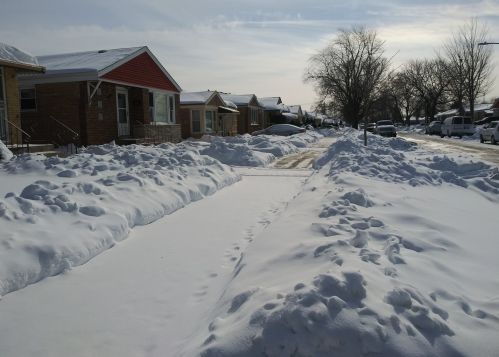 7807 Kilbourn Ave, Chicago, IL 60652-1105