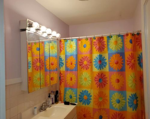 921 Woodlawn Ave, Waukegan IL 60085-2815 exterior