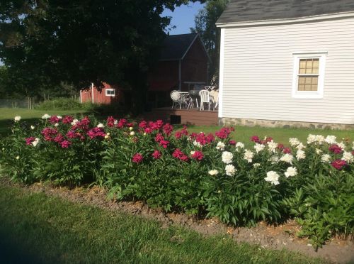 900 Woodward Ave, Big Rapids MI 49307-9201 exterior