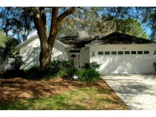 17769 Esprit Dr, Tampa FL  33647-2509 exterior
