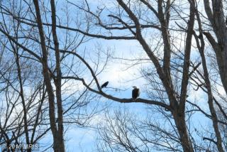 17507 Clinton Dr, Accokeek, MD