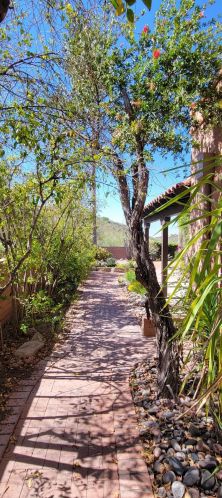 4504 Camino Campero, Tucson AZ  85750-6300 exterior