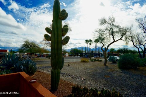 211 Cactus Loop, Green Valley, AZ 85614-3113