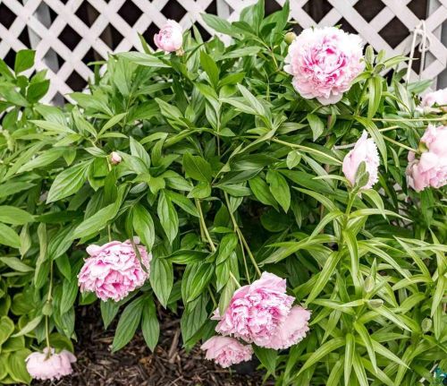 4012 4 St, Duluth MN 55805-1873 exterior