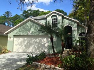 11919 Derbyshire Dr, Tampa FL  33626-2646 exterior