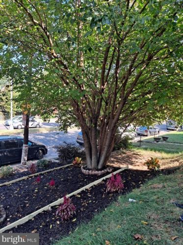 4615 Capitol St, Washington, DC 20011-6723