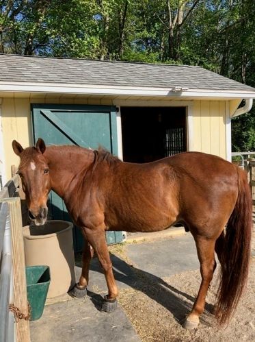 16 Pierce Rd, Sutton MA 01590-2909 exterior