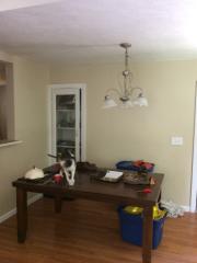 204 Dartmouth St, Kalamazoo MI  49006-0043 exterior