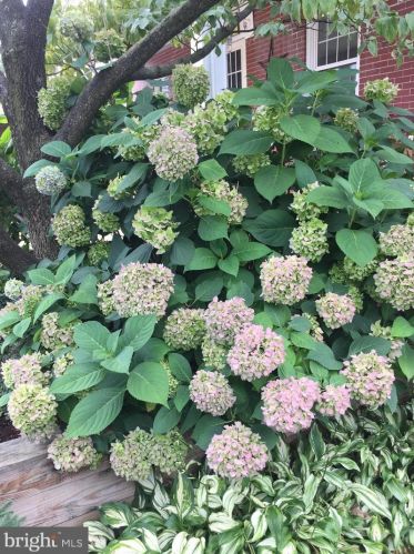 2013 Marietta Ave, Lancaster PA 17603-2205 exterior