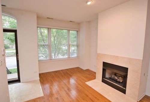 1332 Indiana Ave, Chicago IL  60605-2604 exterior