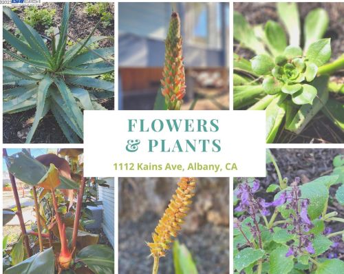 1112 Kains, Berkeley CA 94706-1218 exterior