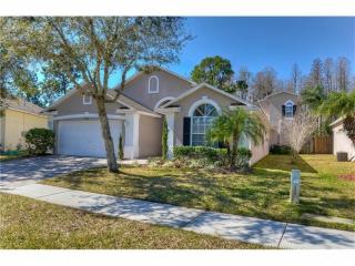 14324 Moon Flower Dr, Tampa, FL 33626-2346