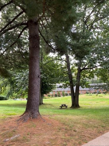 340 Dunfey Ln, Windsor, CT 06095-2355