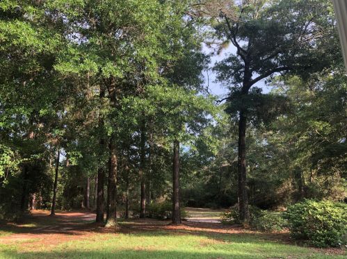 386 Darby Rd, Defuniak Springs FL 32435-4440 exterior