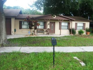 2813 Ballast Point Blvd, Tampa, FL 33611-4003