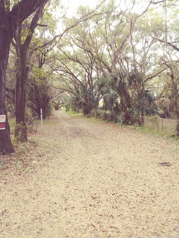 2137 86, Tampa FL  33619-4919 exterior