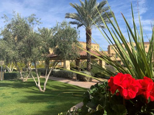 7084 Ivanhoe St, Chandler AZ 85226-0804 exterior