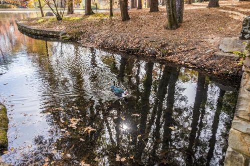 2679 Acorn Ave, Atlanta GA 30305-3703 exterior