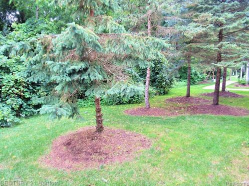 16815 Dover Dr, Northville MI  48168-6503 exterior