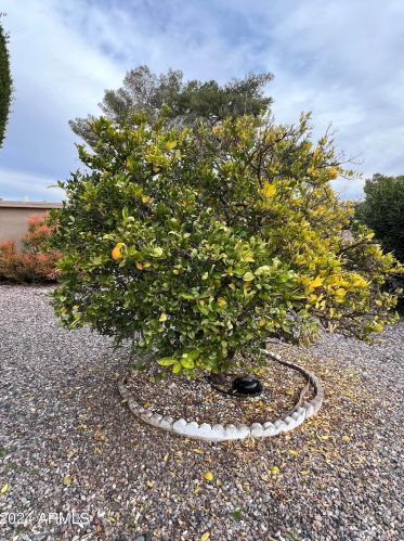 9221 Citrus Ln, Chandler AZ 85248-7005 exterior