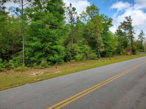 955 Bob Mccaskill Dr, Defuniak Springs FL 32433-5269 exterior