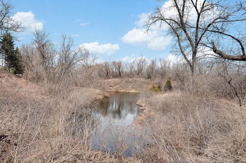 4241 Daniel Dr, Saint Paul MN exterior