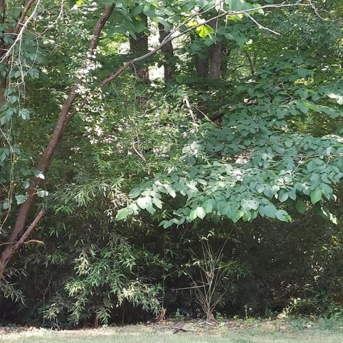 883 Timbervale Ln, Lithonia GA 30058-6013 exterior