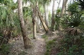 341 Springview Loop, Fort Pierce FL  34986-2664 exterior