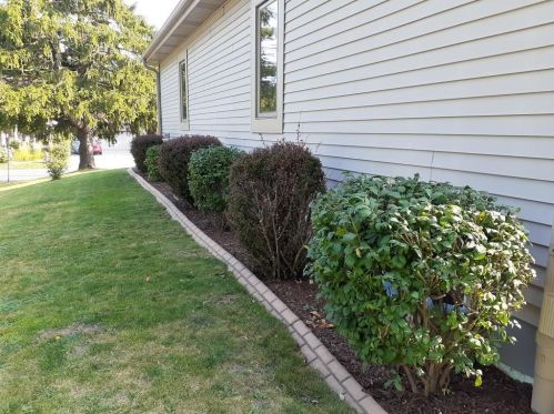 2269 Mangold Ave, Milwaukee WI 53221-4949 exterior