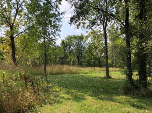 2521 64 St, Fennville MI 49408-9506 exterior